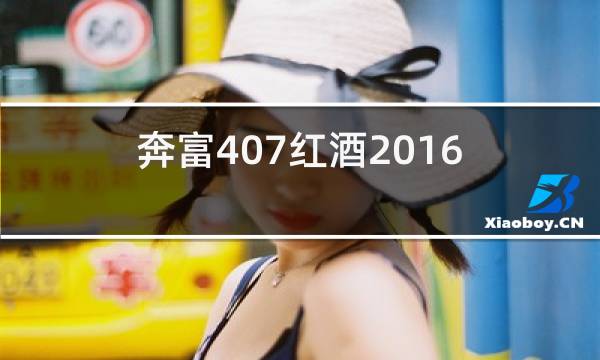 奔富407红酒2016年价格图片