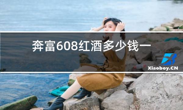 奔富608红酒多少钱一瓶