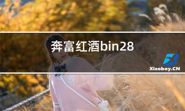 奔富红酒bin28