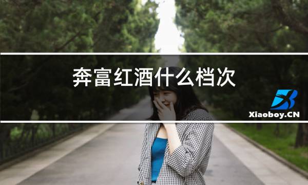 奔富红酒什么档次