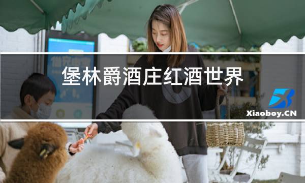 堡林爵酒庄红酒世界