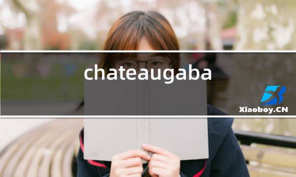 chateaugabaron是什么红酒图片