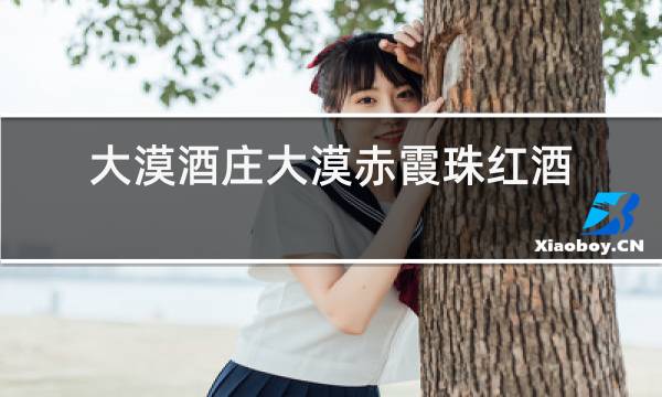大漠酒庄大漠赤霞珠红酒