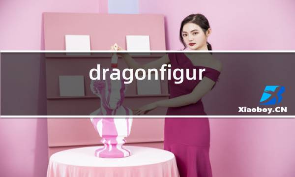 dragonfigure干红是什么品牌红酒