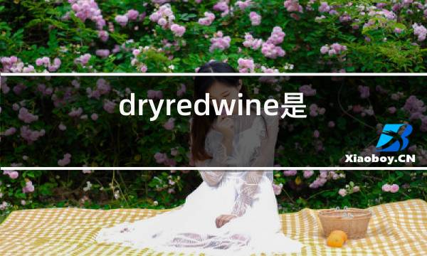 dryredwine是什么红酒图片