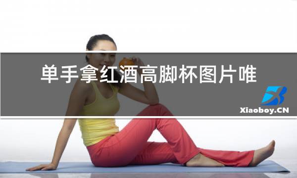 单手拿红酒高脚杯图片唯美