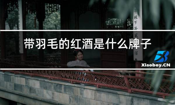 带羽毛的红酒是什么牌子