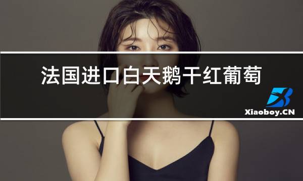 法国进口白天鹅干红葡萄酒