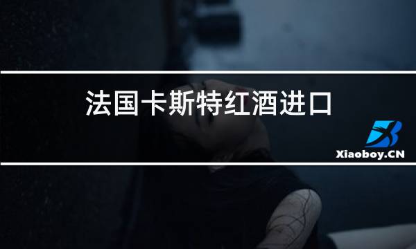 法国卡斯特红酒进口
