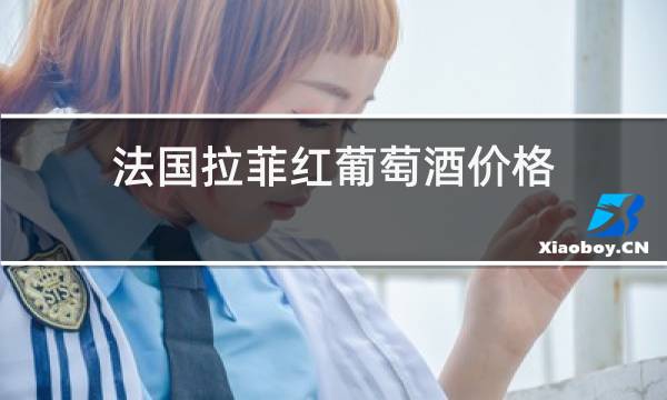 法国拉菲红葡萄酒价格