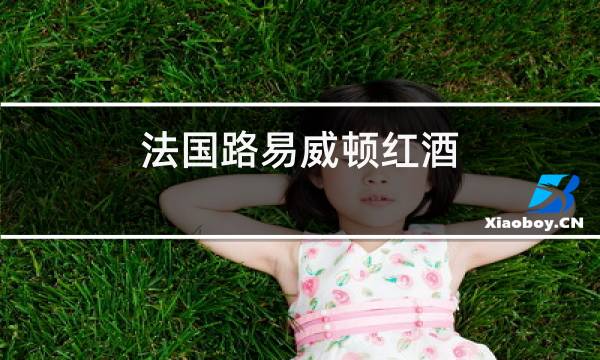 法国路易威顿红酒