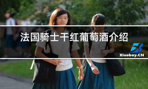 法国骑士干红葡萄酒介绍