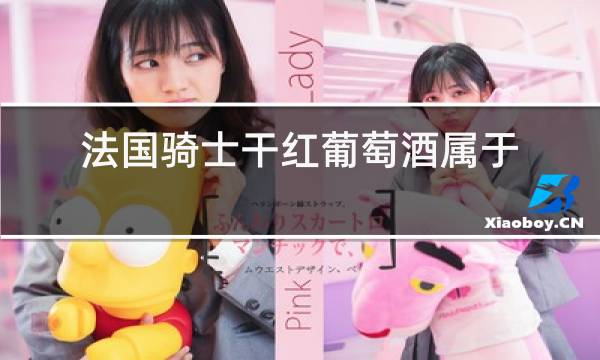 法国骑士干红葡萄酒属于什么档次