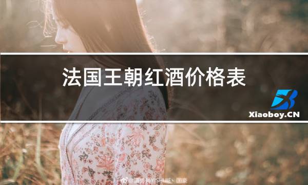 法国王朝红酒价格表