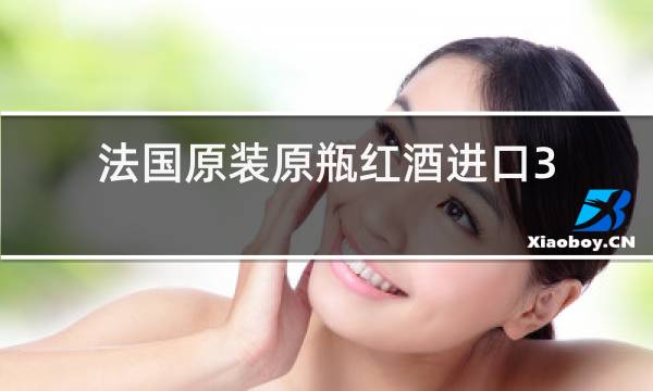 法国原装原瓶红酒进口3L