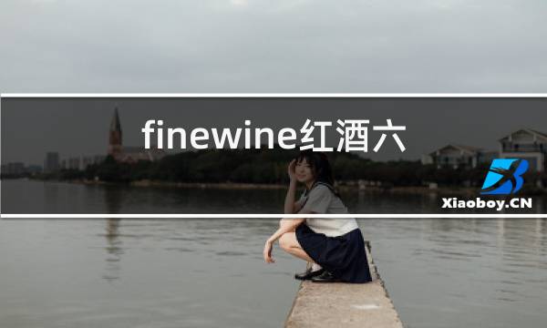 finewine红酒六瓶装礼盒