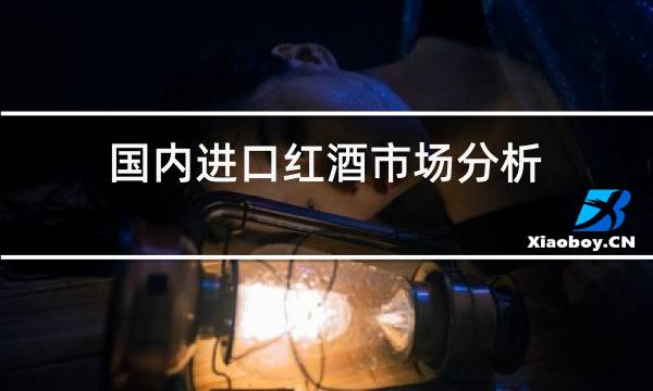 国内进口红酒市场分析图片
