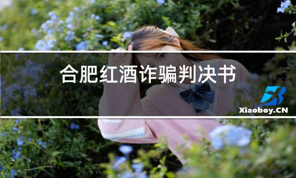 合肥红酒诈骗判决书