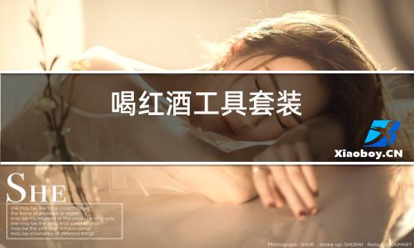 喝红酒工具套装