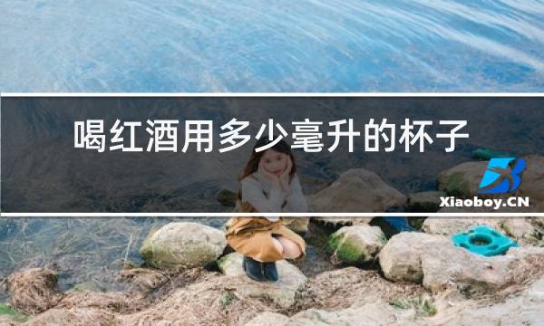 喝红酒用多少毫升的杯子最好