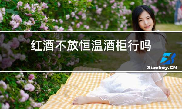 红酒不放恒温酒柜行吗