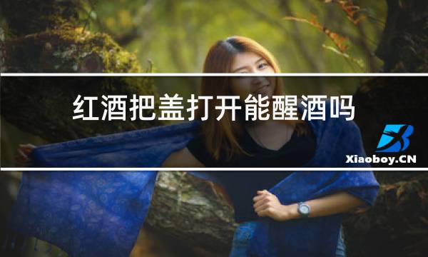 红酒把盖打开能醒酒吗