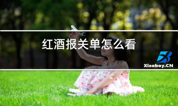 红酒报关单怎么看