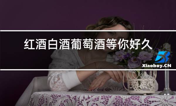红酒白酒葡萄酒等你好久下一句