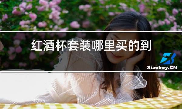 红酒杯套装哪里买的到