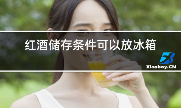 红酒储存条件可以放冰箱吗