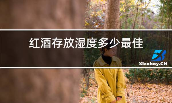 红酒存放湿度多少最佳