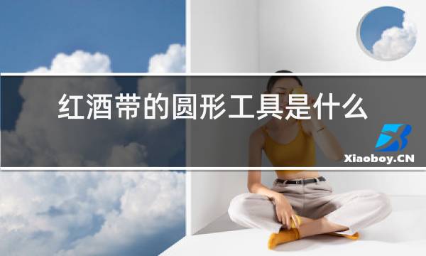 红酒带的圆形工具是什么