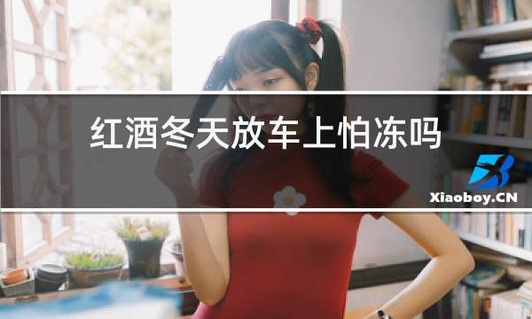 红酒冬天放车上怕冻吗图片