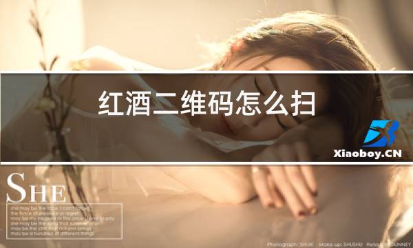 红酒二维码怎么扫