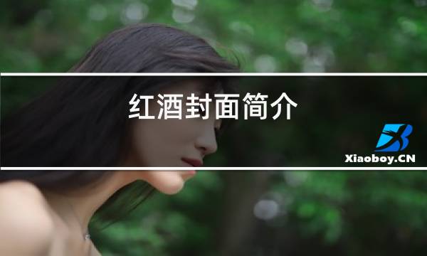 红酒封面简介
