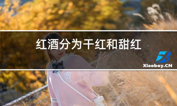 红酒分为干红和甜红