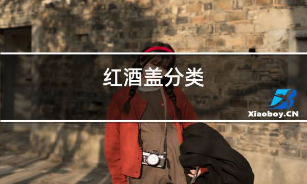 红酒盖分类