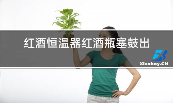 红酒恒温器红酒瓶塞鼓出来