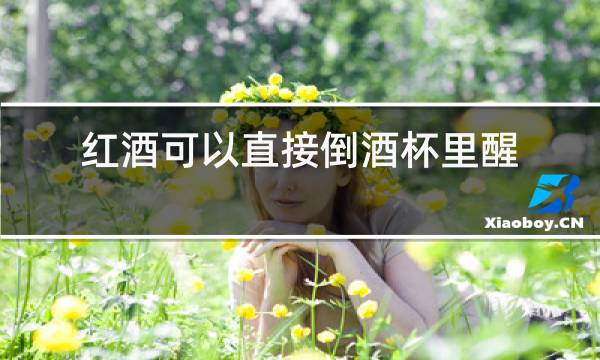 红酒可以直接倒酒杯里醒吗图片