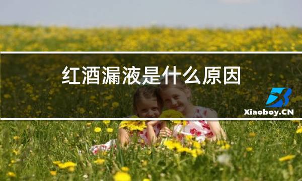红酒漏液是什么原因