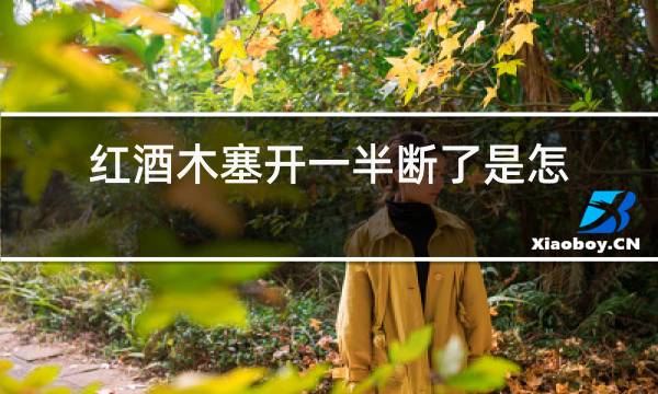 红酒木塞开一半断了是怎么回事