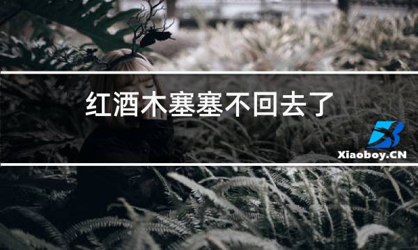 红酒木塞塞不回去了图片