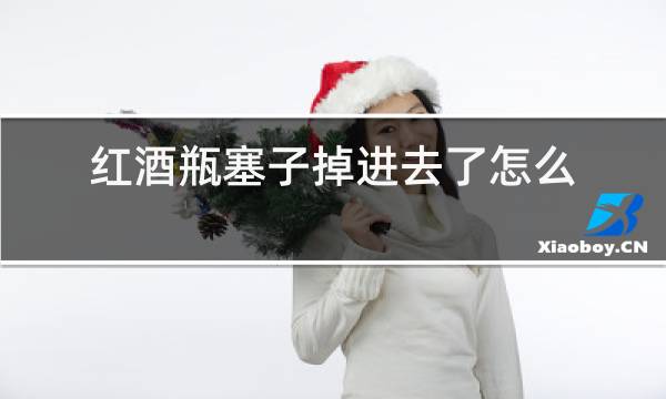 红酒瓶塞子掉进去了怎么办