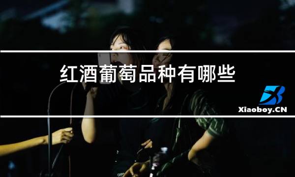 红酒葡萄品种有哪些图片