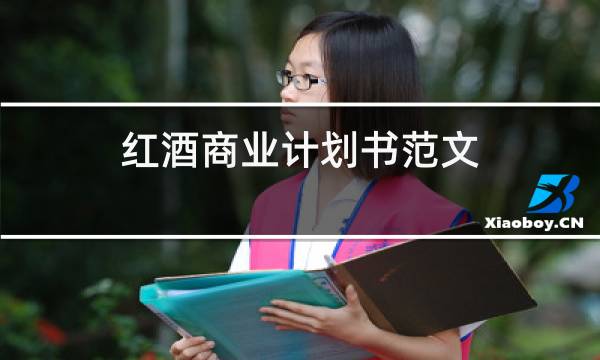 红酒商业计划书范文