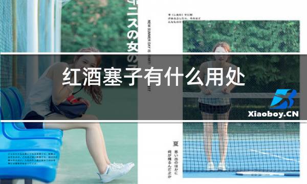 红酒塞子有什么用处