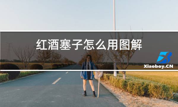 红酒塞子怎么用图解图片