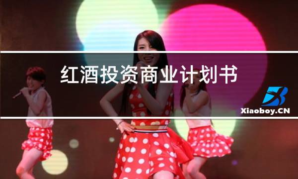 红酒投资商业计划书