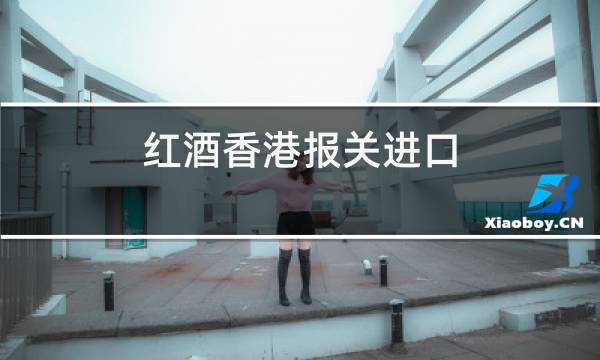 红酒香港报关进口