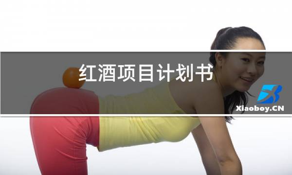 红酒项目计划书